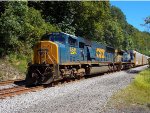 CSX 4541 and 7901 